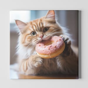 Cat eating shop donut