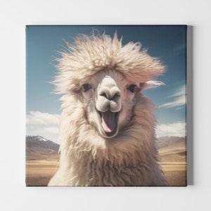 Klaar om op te hangen alpaca canvas grote horizontaal ingelijste poster muurkunst grappig dier berg Chili Peru Argentinië Colombia natuur kind slaapkamer