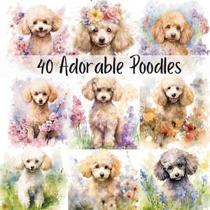 40 Pacote adorável de clip art de poodle, sublimação PNG, poodle de brinquedo PNG, pacote SVG de poodle, animal fofo