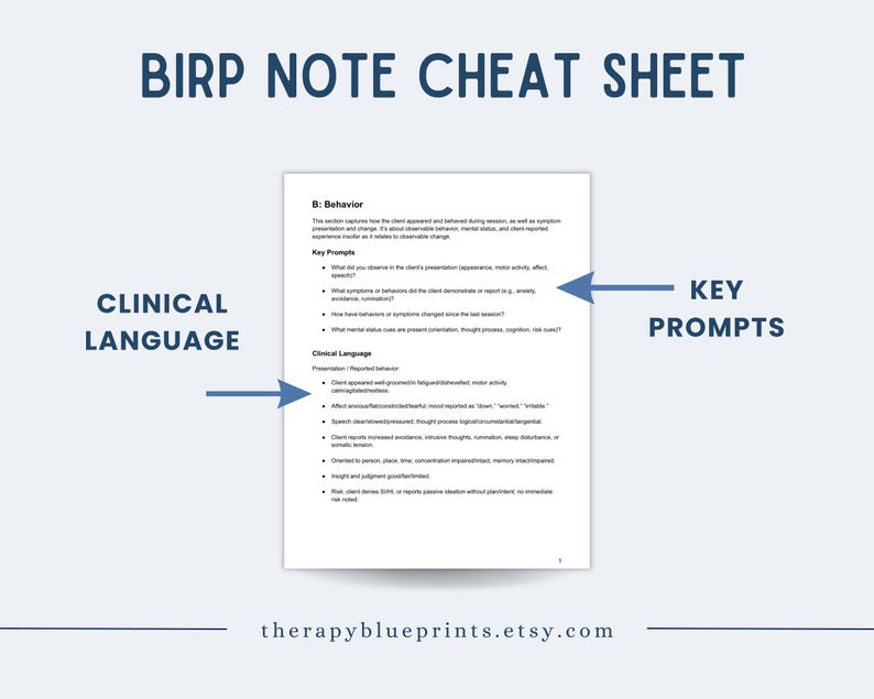 BIRP Notes Cheat Sheet for Therapists | Psychotherapy Documentation (6 ...
