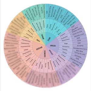 May include: A colorful wheel chart with the words "FEAR", "ANGER", "DISGUST", "SADNESS", "DESPAIR", "ENVY", "SHAME" in a circle. Each section of the wheel has a list of words related to the emotion.