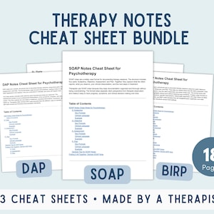 Notiz Spickzettel | SEIFE DAP BIRP Tempates | Klinischer Unterlagen-Leitfaden für Therapeuten & Ratgeber | Digitales Pdf