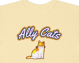 Koszulka LGBT Ally Pride z grafiką tęczowej flagi z przodu i z tyłu