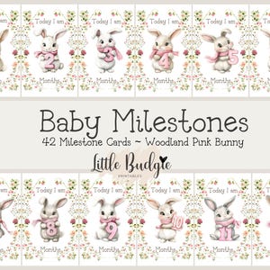 42 cartes jalons lapin des bois, lapin aquarelle rose, lot de 12 mois plus anniversaire, Halloween, Noël, Pâques, option de nom personnalisé