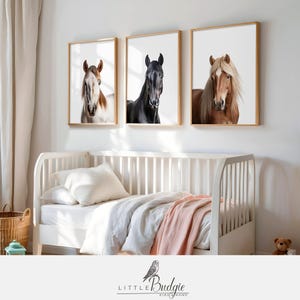 Stampe decorative per cameretta con cavalli, set da 3, decorazione murale con cavalli, animali da fattoria per bambini, cameretta per adolescenti, stampe unisex per cameretta, download digitale