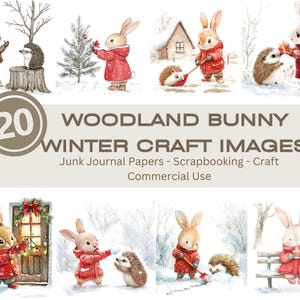 20 immagini di artigianato di coniglietti del bosco, pacchetto di 2 di Natale invernale, diari spazzatura, inviti, scrapbooking, artigianato, creazione di biglietti per uso commerciale
