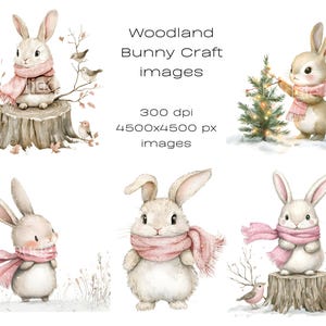 May include: Four watercolor illustrations of cute bunnies wearing pink scarves. The bunnies are in different poses, some are sitting, some are standing. The illustrations are set against a white background. Woodland Bunny Craft images 300 dpi 4500x4500 px images