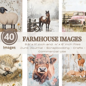 40 pagine di diario di animali da fattoria, clipart di vita di campagna, cavallo, maiale, mucca delle Highlands, pecora, scrapbooking, decoupage, fattoria, uso commerciale