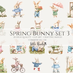 20 cliparts lapin, images PNG de lapin mignon pour le printemps, fête des mères, journaux, faire-part, travaux manuels de scrapbooking, découpage, 3 bonus