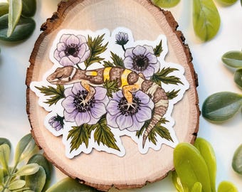 Leopard Gecko Sticker, Cute Animal Sticker, Reptile Sticker, Reptile Art, Gecko, Gifts for Reptile Lovers, Cute Sticker