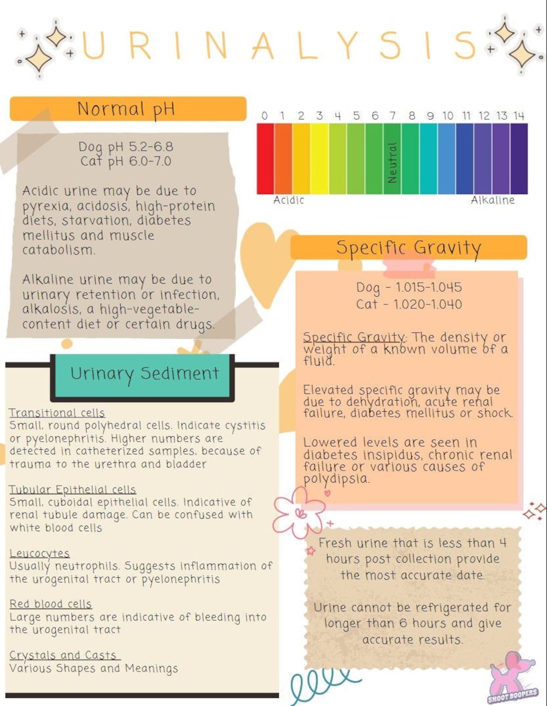 Veterinary Urinalysis Digital Reference Guide Etsy