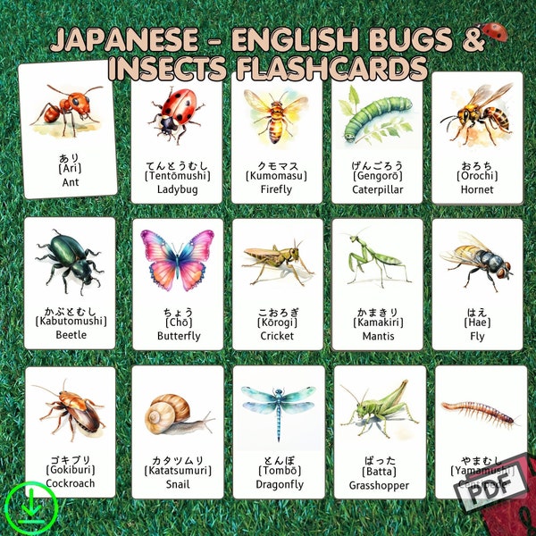 Japanisch Englisch lernen Fehler und Insekten, Hiragana Karten, Japanisch lernen, zweisprachige Bildkarten, druckbare Karten, Montessori