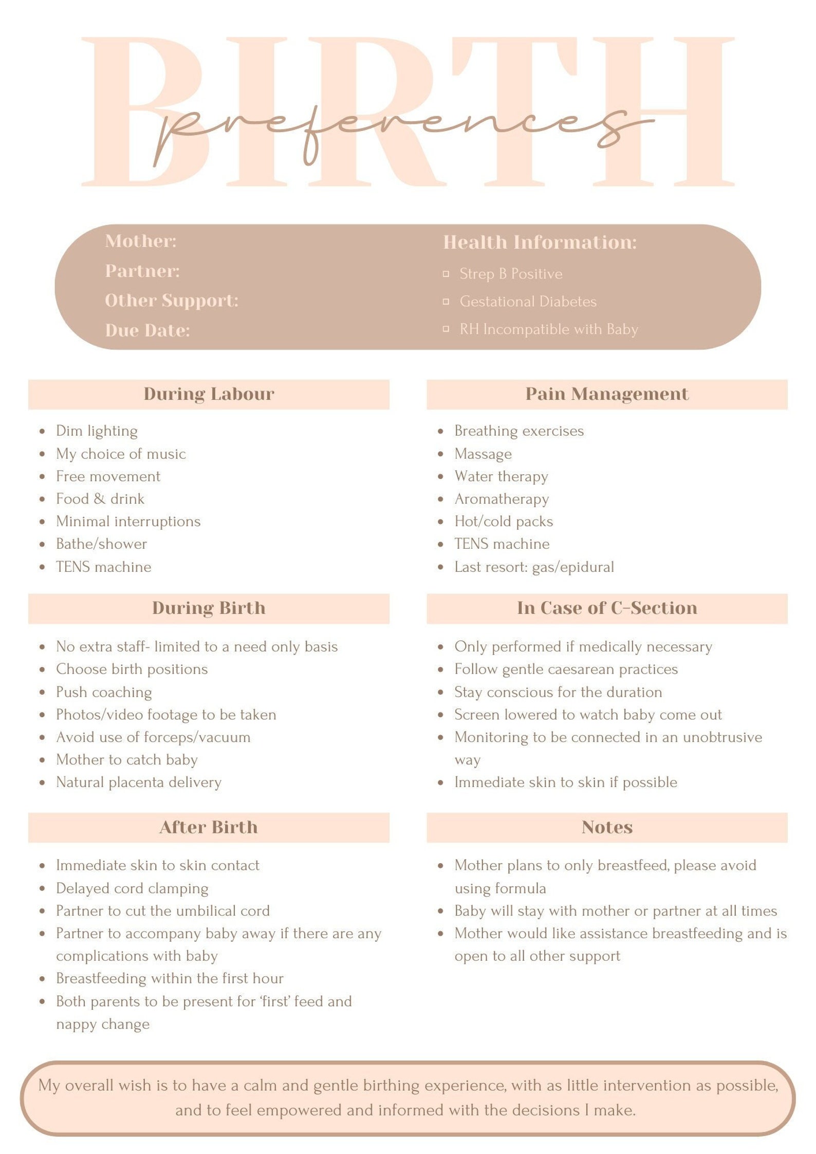 Editable Birth Preferences Template Birth Plan Template Printable Editable Birth Preferences Template Birth Plan Template Printable