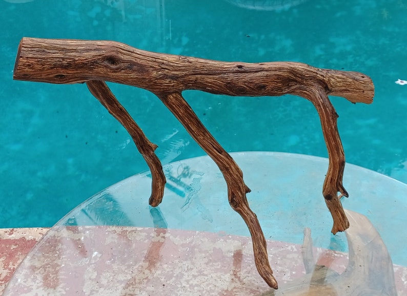 Manzanita Driftwood for Aquarium Terrarium Aquascape Etsy