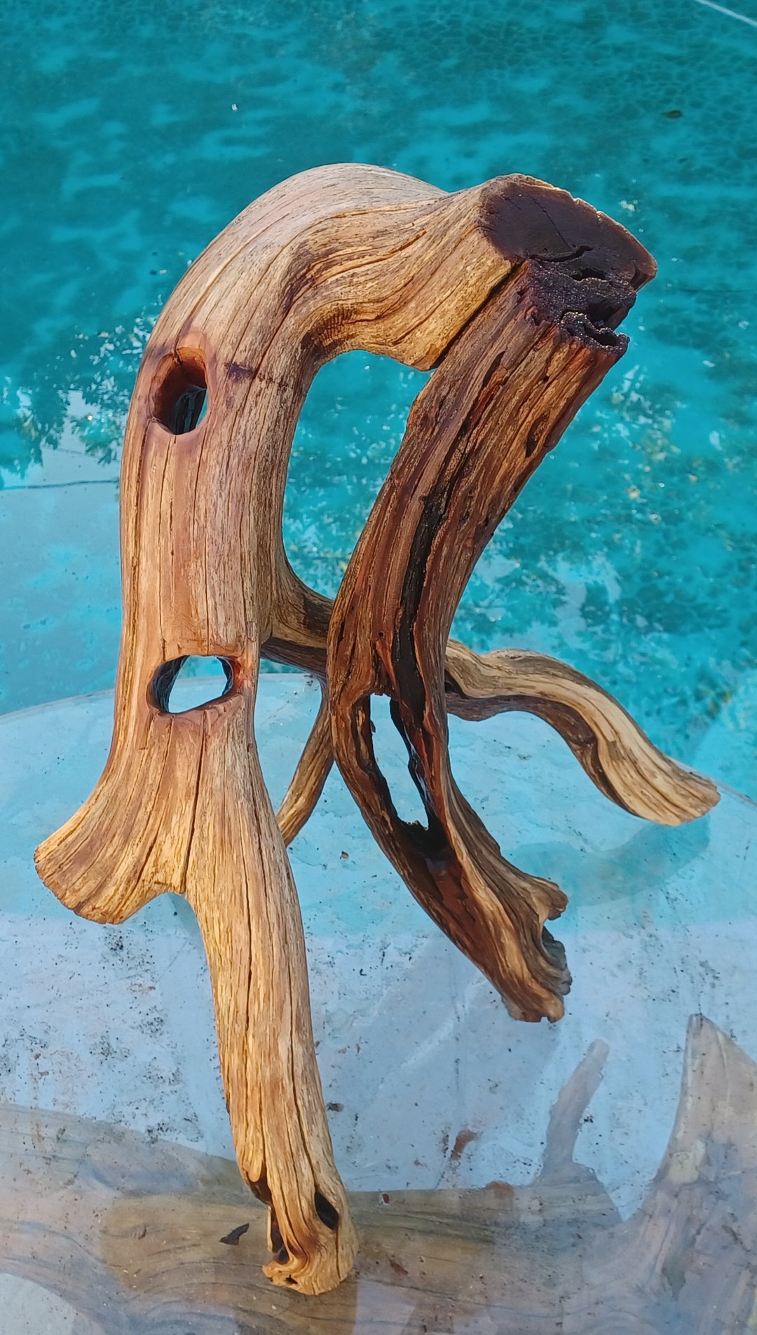 Manzanita Driftwood for Aquarium Terrarium Aquascape Etsy