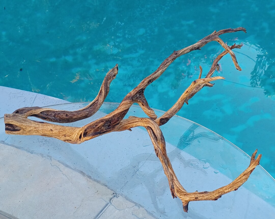 Manzanita Driftwood for Aquarium Terrarium Aquascape Etsy