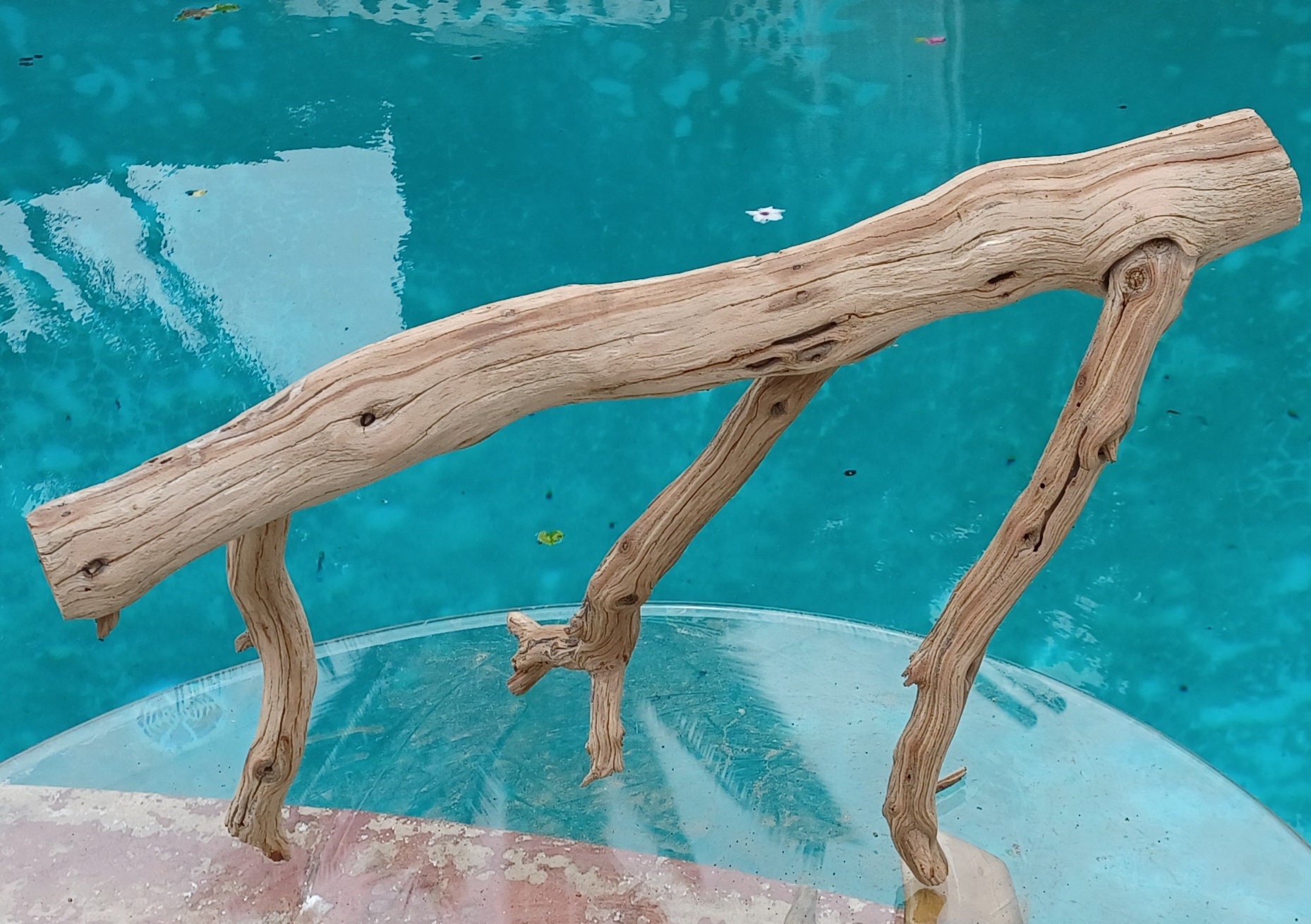 Manzanita Driftwood for Aquarium Terrarium Aquascape Etsy