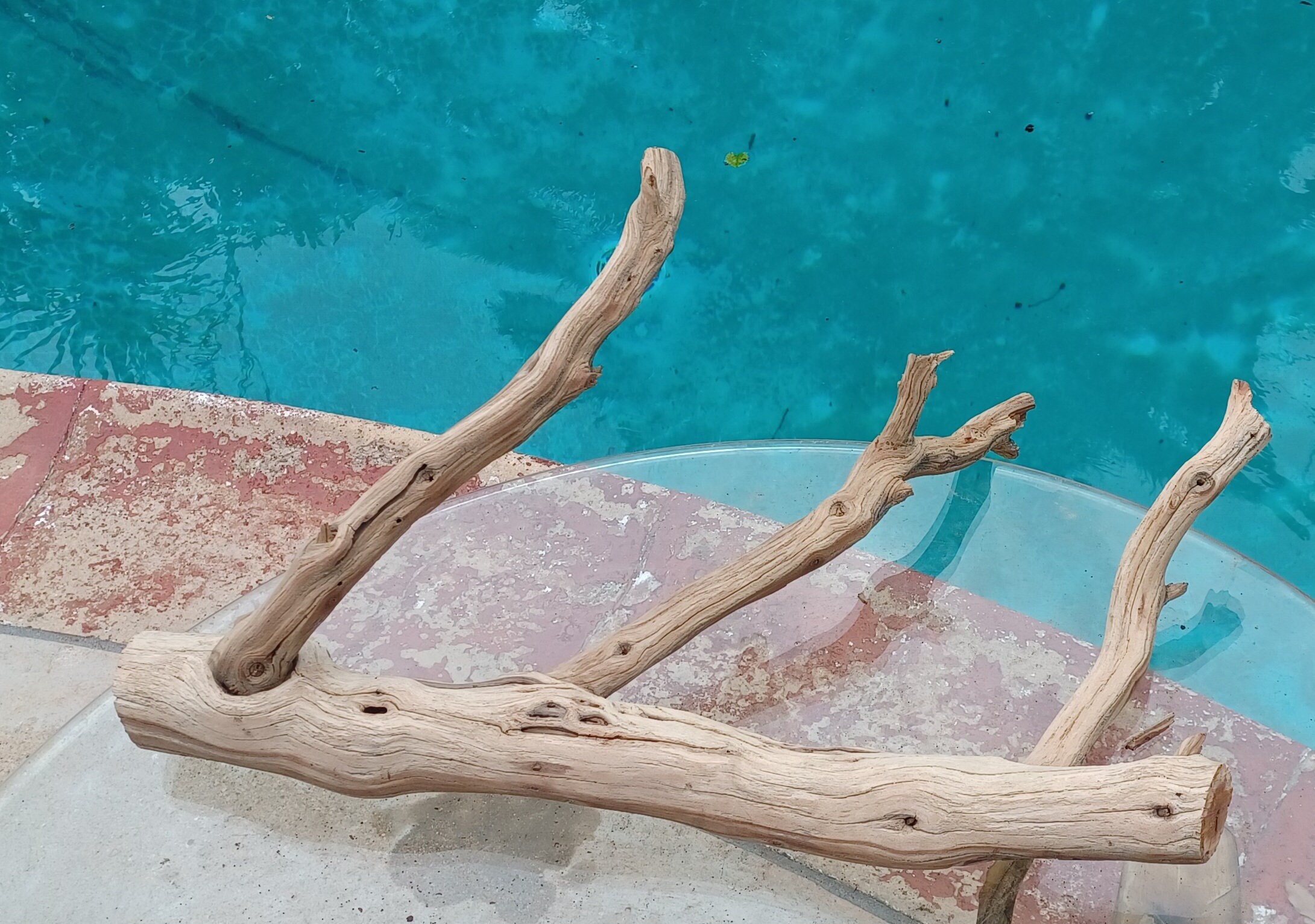 Manzanita Driftwood for Aquarium Terrarium Aquascape Etsy
