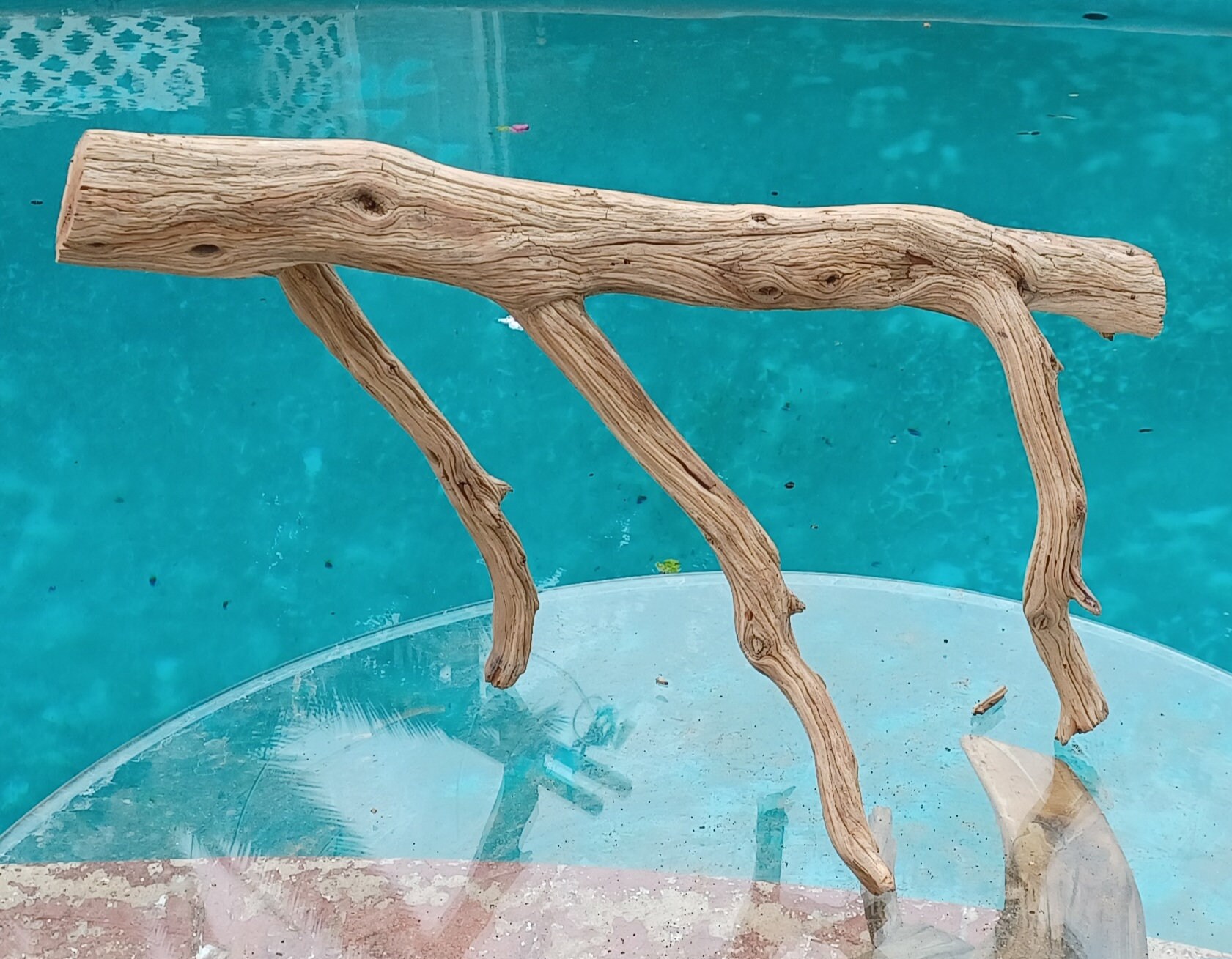 Manzanita Driftwood for Aquarium Terrarium Aquascape Etsy