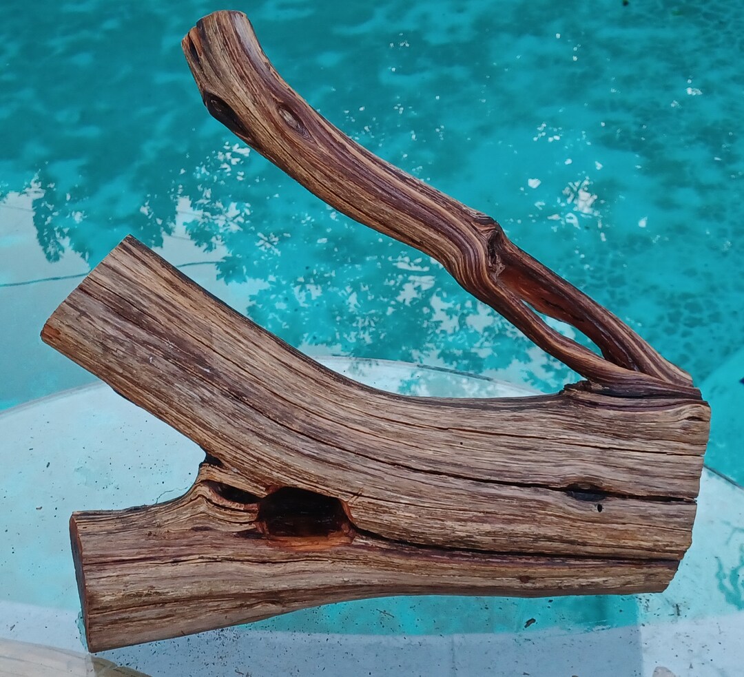 Manzanita Driftwood for Aquarium Terrarium Aquascape Etsy