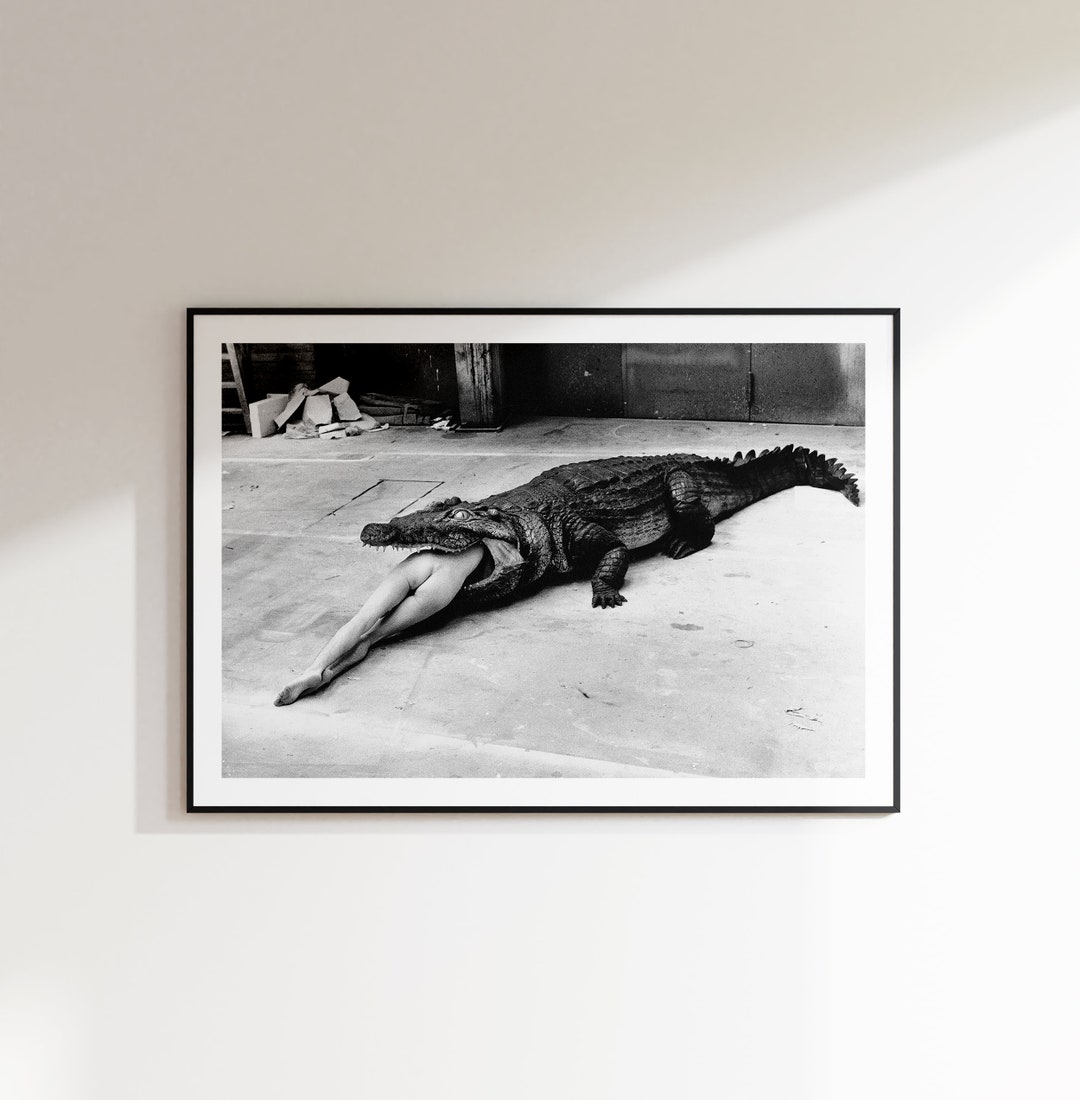 Helmut Newton Poster Crocodile Eating Ballerina Black and - Etsy