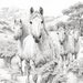 Brumby Coloring Book for Kids Snowy Mountains of Australia 84 Instant ...