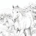 Brumby Coloring Book for Kids Snowy Mountains of Australia 84 Instant ...