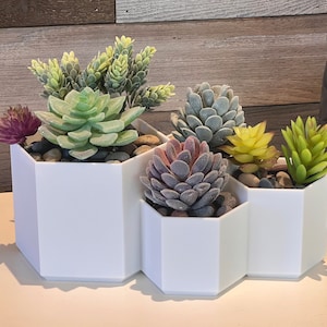 Plantador Hexagonal Moderno
