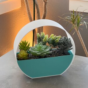 May include: A white and teal planter with a circular design and a handle. The planter is filled with small green succulents.