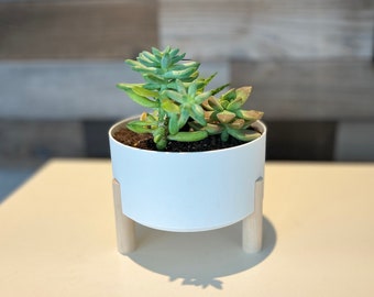 Midcentury Modern Tri-Leg Planter - Medium