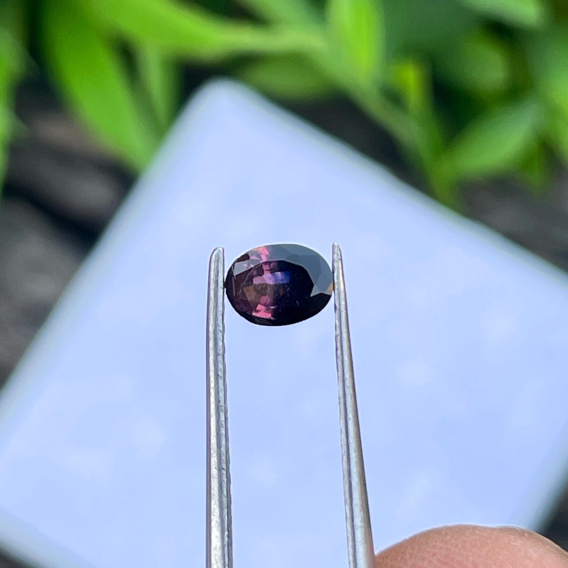 Natural Winza Sapphire 0.55 Ct | Bi-color Blue Pink Sapphire
