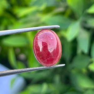 May include: A polished, oval-shaped gemstone, held by tweezers, displays a deep red hue with internal patterns. The gem's surface reflects light, set against a blurred green background of foliage. The stone is a cabochon cut.