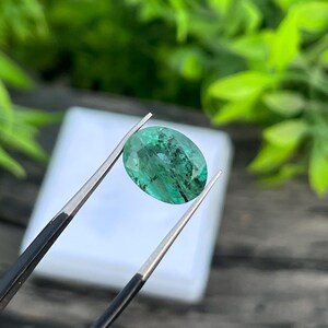 Puede incluir: Una gema ovalada de esmeralda es sostenida por unas pinzas. La gema es de un verde vibrante con inclusiones oscuras y una superficie pulida. El fondo está borroso, con una superficie blanca y follaje verde.