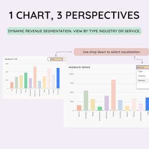 May include: An infographic with the title "1 CHART, 3 PERSPECTIVES" and the text "DYNAMIC REVENUE SEGMENTATION. VIEW BY TYPE INDUSTRY OR SERVICE." Two bar charts are displayed, along with a dropdown menu to select visualization.