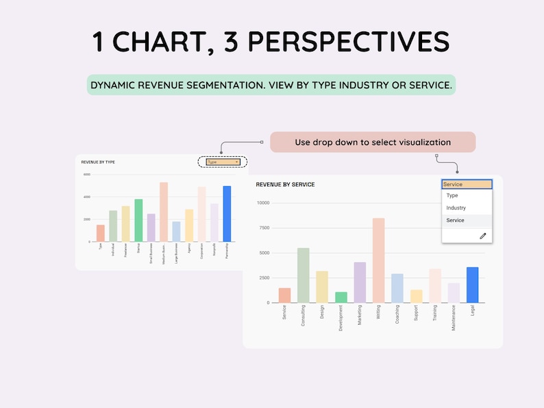 May include: An infographic with the title "1 CHART, 3 PERSPECTIVES" and the text "DYNAMIC REVENUE SEGMENTATION. VIEW BY TYPE INDUSTRY OR SERVICE." Two bar charts are displayed, along with a dropdown menu to select visualization.