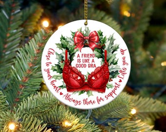 Friend Christmas Ornament Png, Friendship Christmas Ornament Png, Friend Ornament Png, 2024 Christmas Ornament Png, Funny Ornament Png