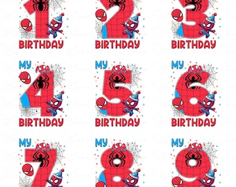 Custom Spider Hero 1-9 Birthday Boy Png, Birthday Boy Family Png, Birthday Boy Png, Birthday Png, Birthday Gift, Family Birthday Party Png