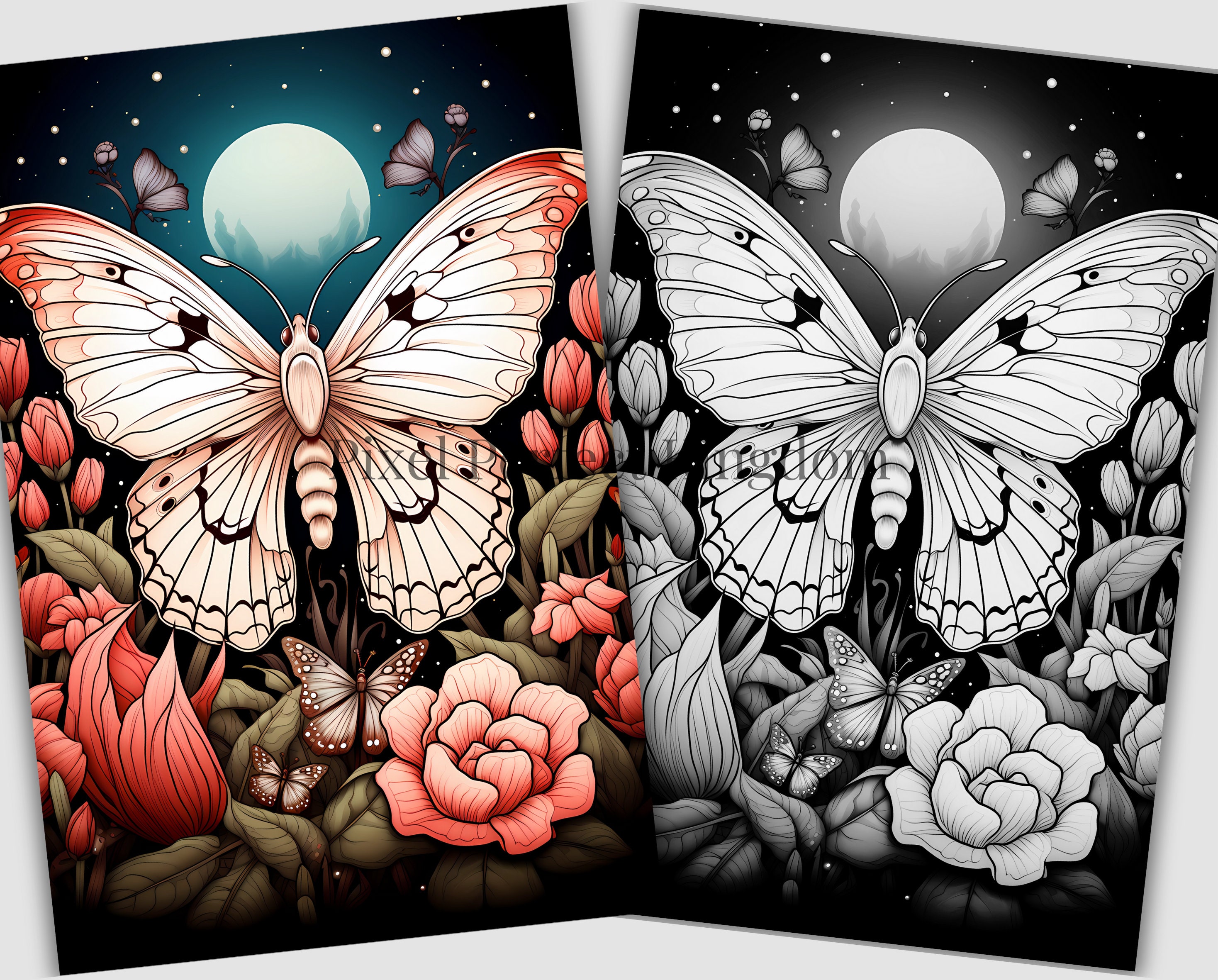 40 Moths Coloring Book, Adults Kids Instant Download grayscale Coloring