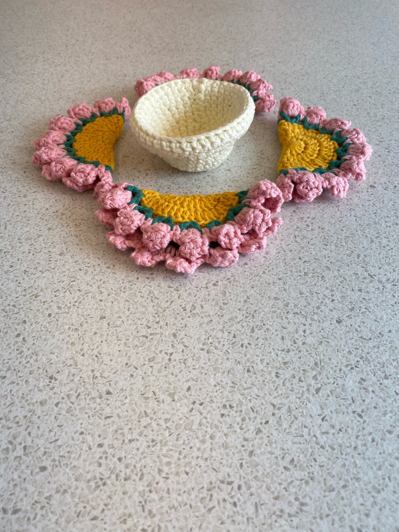 Crochet Succulent Coaster Set Etsy