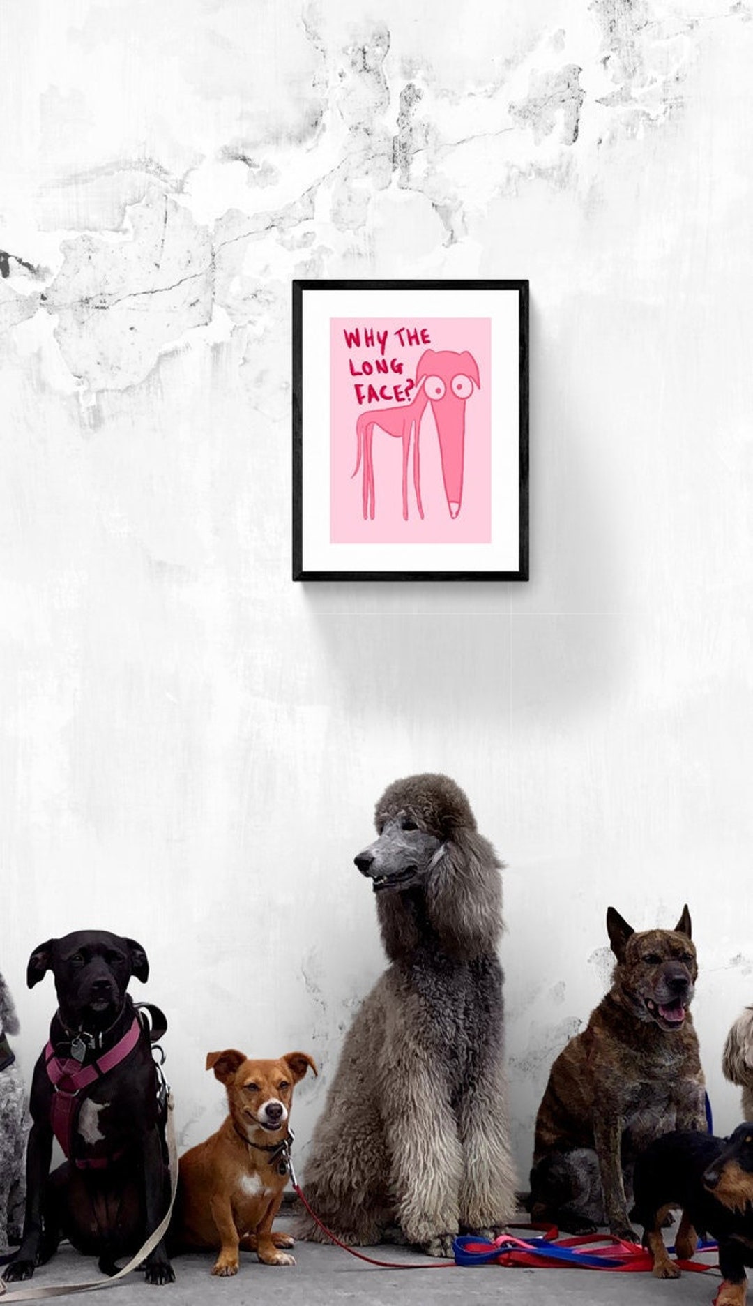 Mystery Misprint, Perfectly Imperfect Surprise Vibrant, Fun and