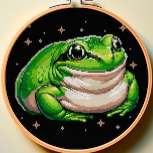 May include: A green frog with a white belly is embroidered on a black fabric background with white stars. The frog is sitting on its hind legs with its front legs tucked in. The embroidery is in a hoop.