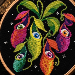 May include: A cross-stitch embroidery in a wooden hoop featuring five colorful pitcher plants on a black background. Each plant has a central eye with a distinct iris color, including green, blue, orange, purple, and pink, surrounded by small white cross-stitched stars.