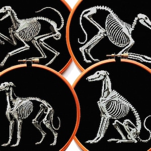 May include: Four embroidery hoops with black fabric and white embroidery of dog skeletons in different poses. The skeletons are detailed and realistic.