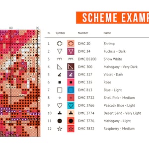 May include: A cross-stitch pattern chart titled SCHEME EXAMPLE, featuring a grid of symbols on the left and a color key on the right. The key lists 12 DMC thread colors, including Shrimp, Fuchsia, Snow White, Mahogany, Violet, Rose, Blue, and Pink.