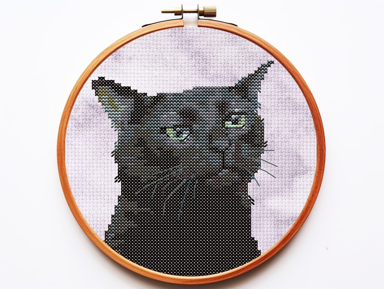 CapCut_black hoodie cat pfp tutorial