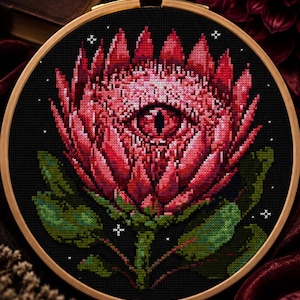 Puede incluir: Un bordado de punto de cruz en un bastidor de madera redondo que muestra una gran flor de protea rosa y roja sobre un fondo negro. El centro de la flor contiene un ojo realista con una pupila oscura. Pequeñas estrellas blancas rodean la flor.
