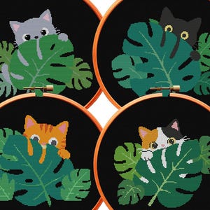May include: Four circular embroidery hoops featuring cross-stitch designs of cats peeking from behind large green monstera leaves. The cats are grey, black, orange tabby, and calico, all set against a solid black fabric background.