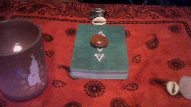 Small Cowries New Relationship Spread. (24 Hrs.) - Etsy