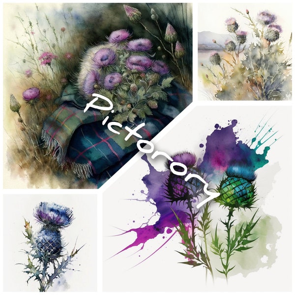 Scottish Scotland Thistle Heather Clipart Bundle -  20+ High Quality PNG - Digital Download - Commercial Licence inc.  Watercolour Flowers