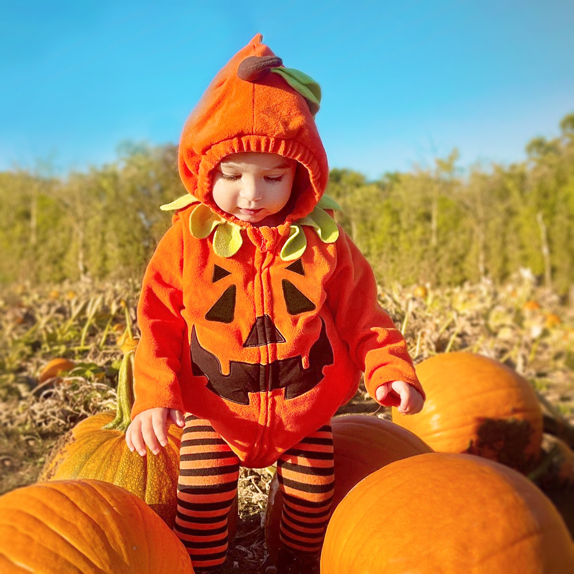 Pumpkin Costume - Etsy